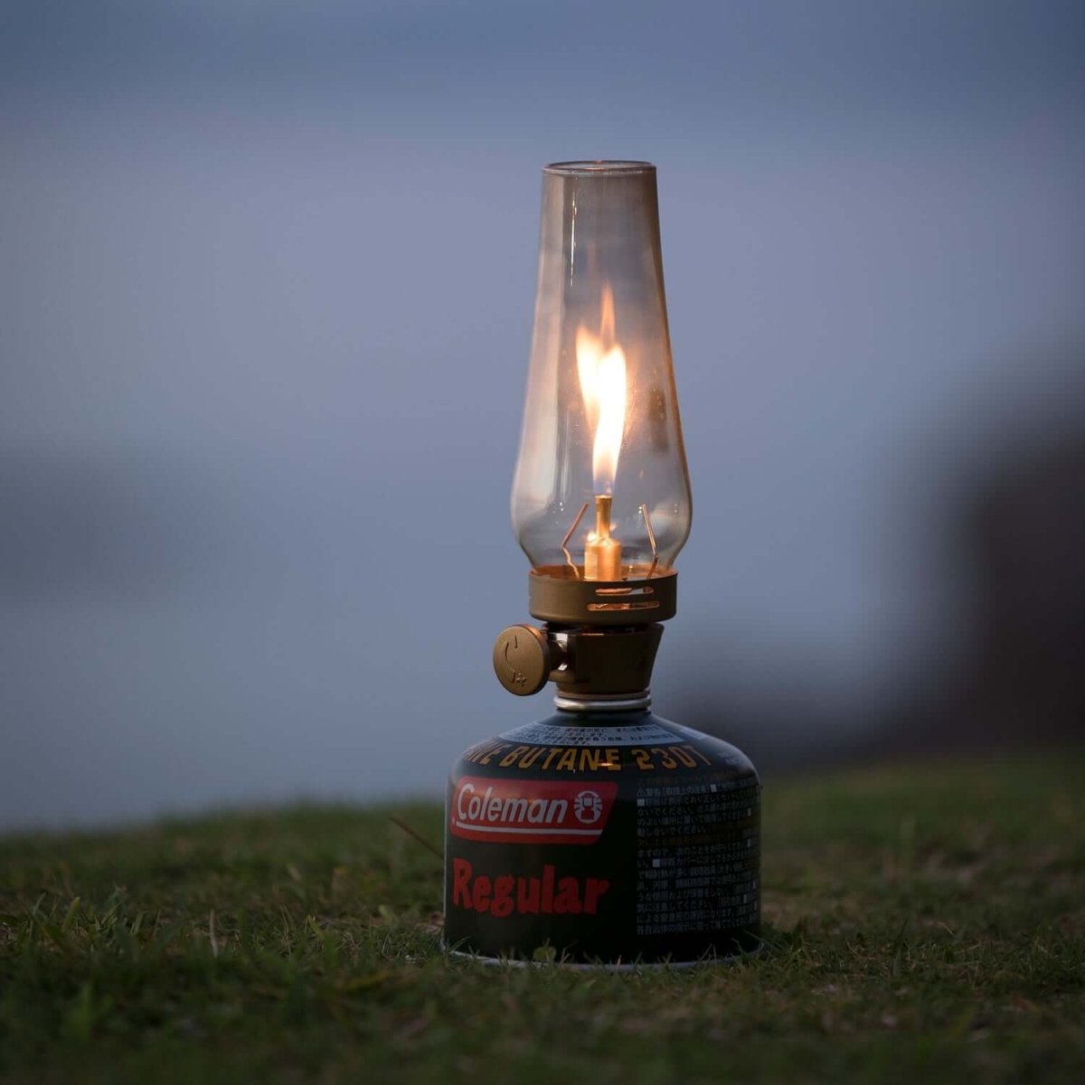 Coleman - Lumiere Lantern 205588 - WhoWhy International