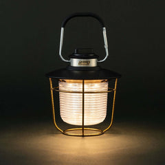 Coleman - Metallic Lantern / 200 2000038860 - WhoWhy International