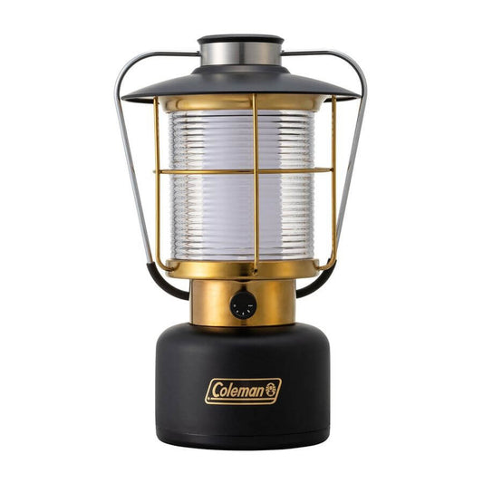 Coleman - Metallic Lantern / 600 2000038859 - WhoWhy International