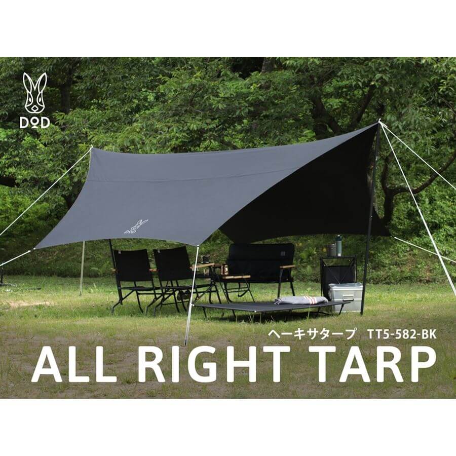 DOD - All Right Tarp TT5 - 582 - TN - WhoWhy International