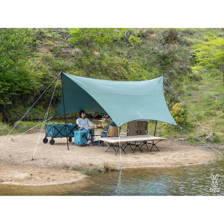 tarp tc DOD