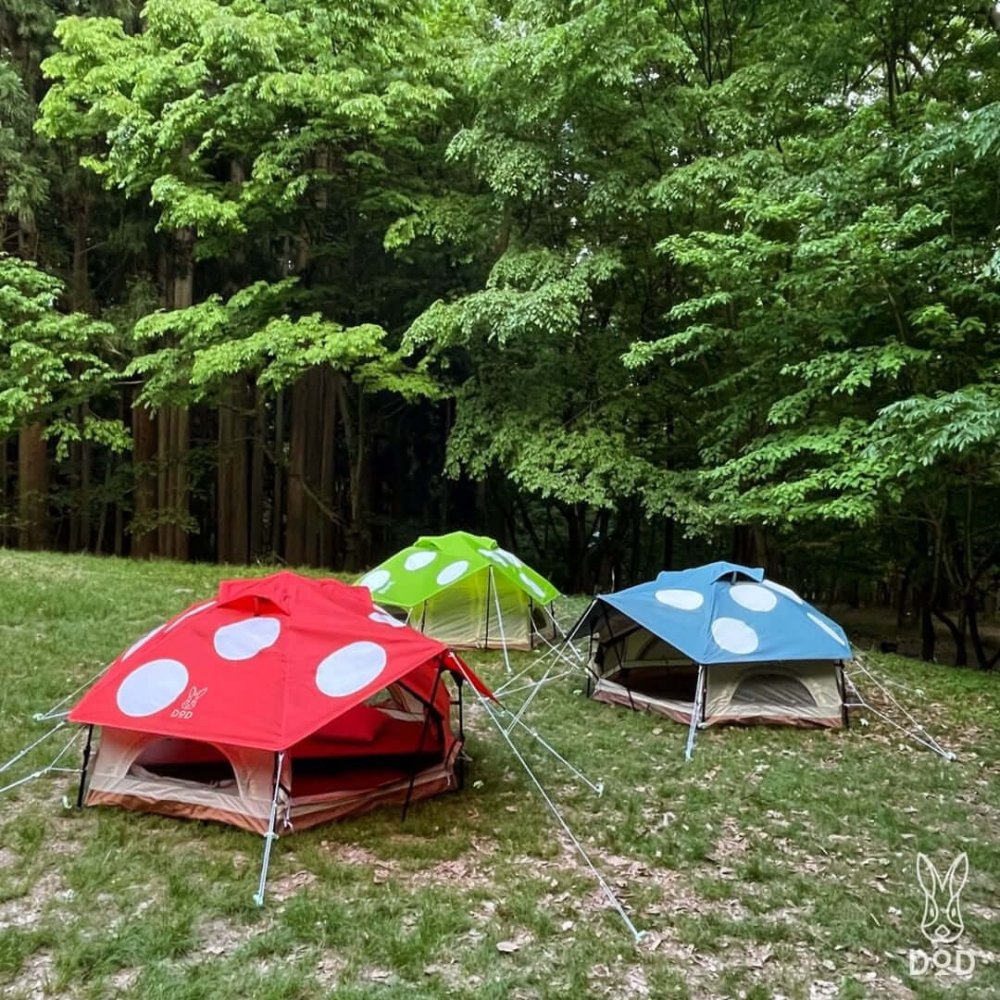 kinoko mushroom tent DOD Mini Mushroom Tent Comfortable and Cute Solo Tent T2-930-BG