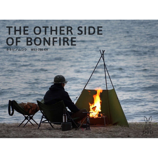 DOD - THE OTHER SIDE OF BONFIRE WS3 - 786 - KH - WhoWhy International